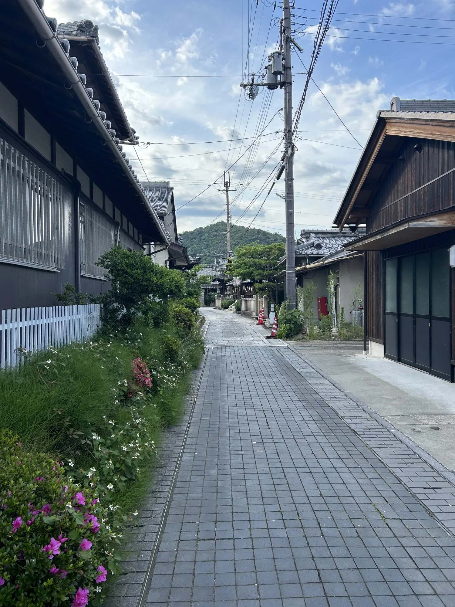 A narrow paved street between old wooden houses, flowers along the side, hills behind.